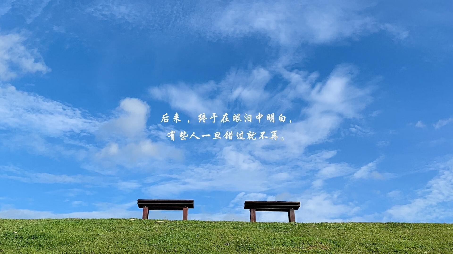 “极端天气下的英雄:车手怎样战胜自然的疯狂考验”,极端天气对车辆应急预案方案