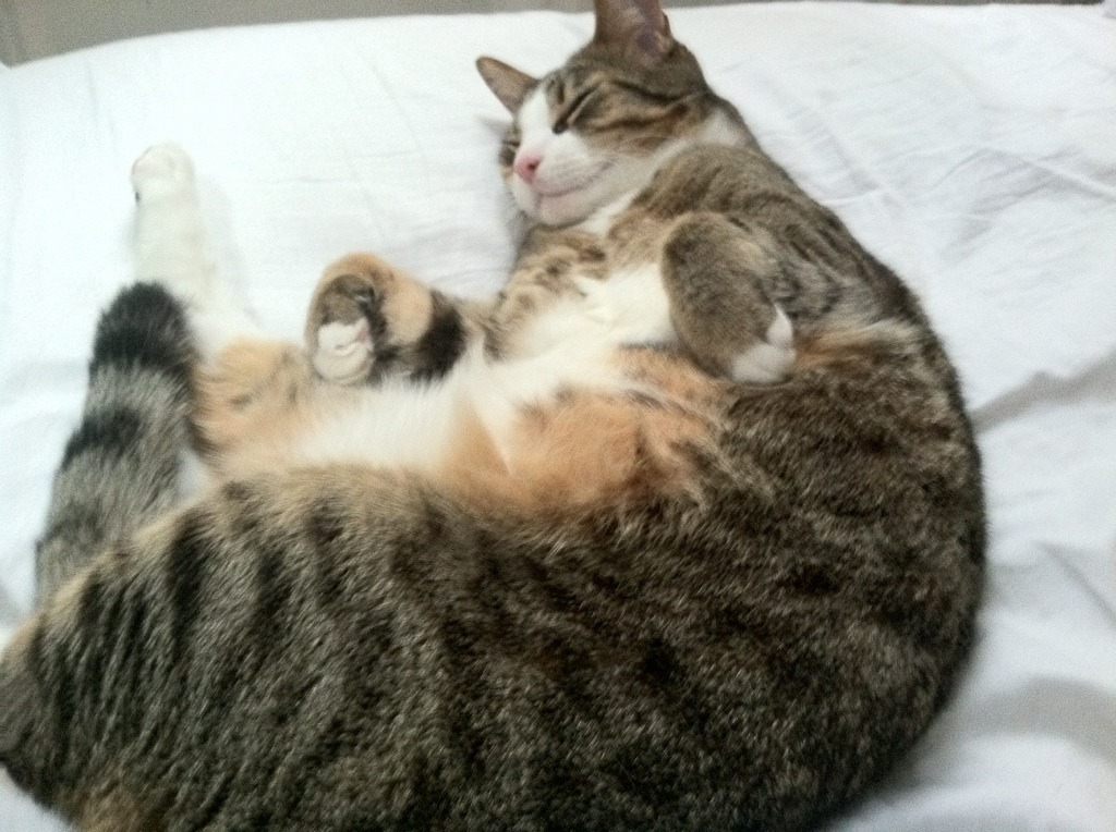 堡垒之夜电竞联赛奖金再创新高,堡垒之夜冠军多少钱