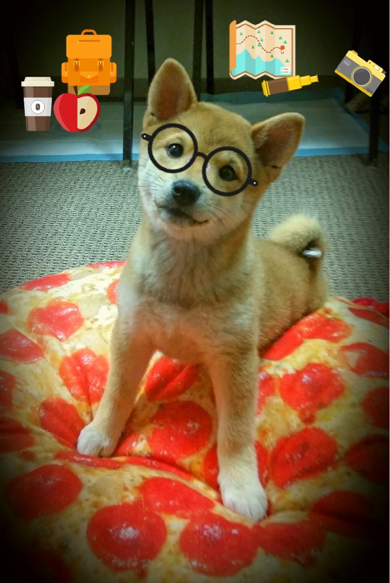 山东泰山客场取得关键胜利,泰山主场