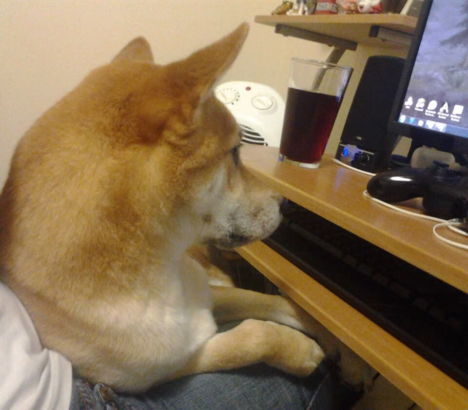 瓦尔杜推搪送佩内特入球,球队晋级之路艰难,瓦尔德佩涅斯