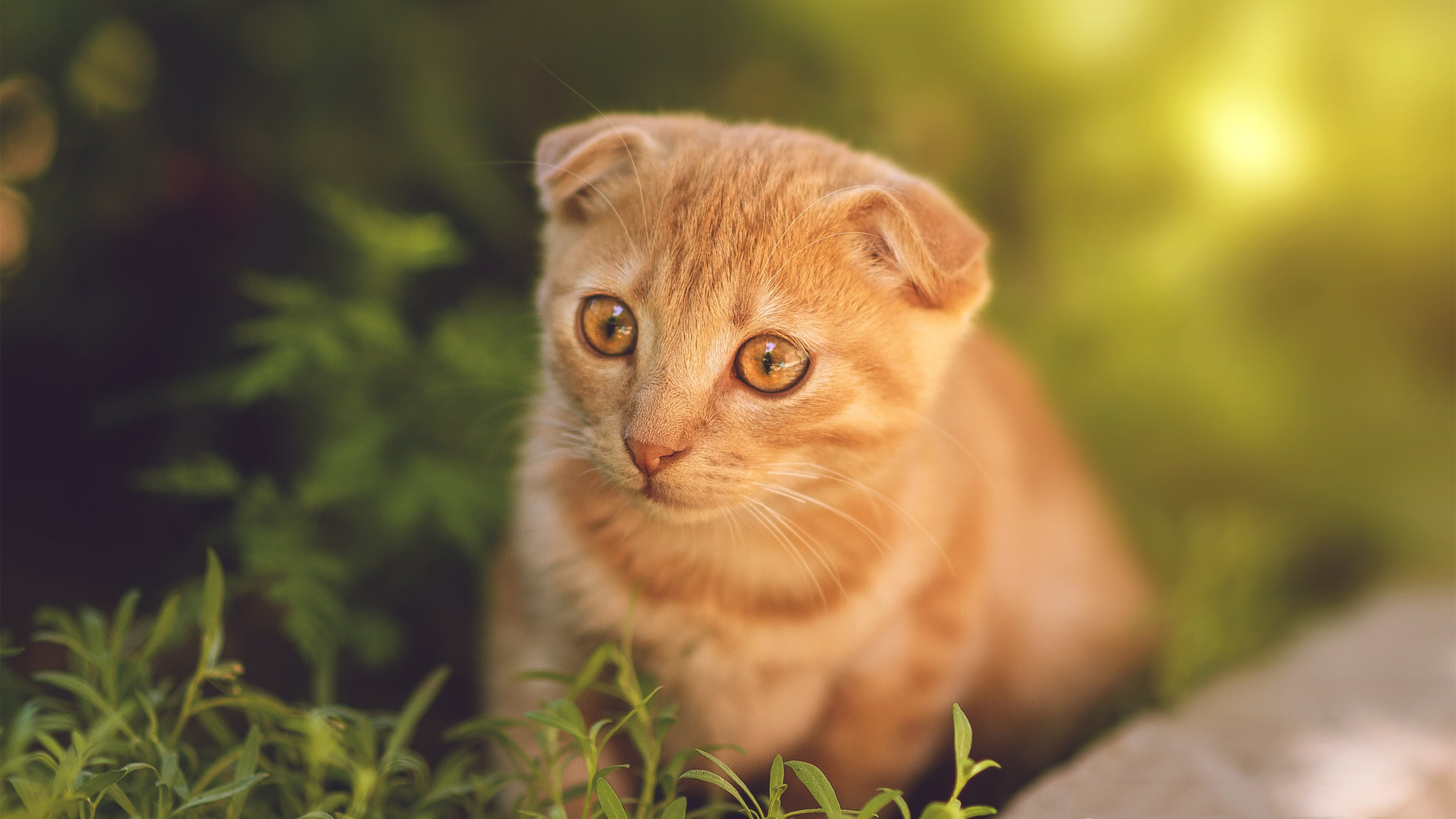 西班牙出人意料地遭遇劲敌,输球令人瞩目,西班牙谁赢了