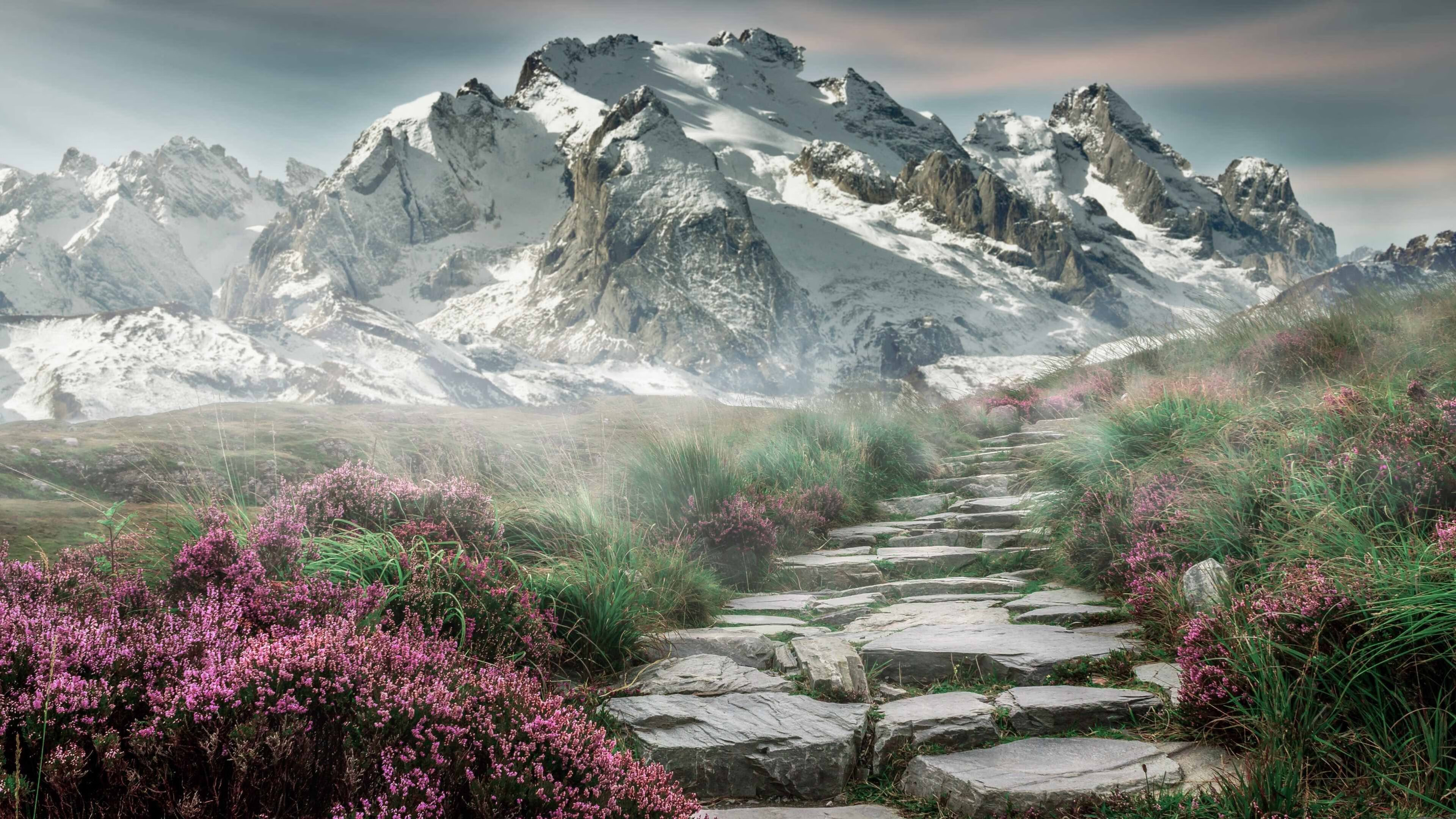 九游网页版入口-辽宁将要迎来福建的挑战，胜利在望，福建 辽宁