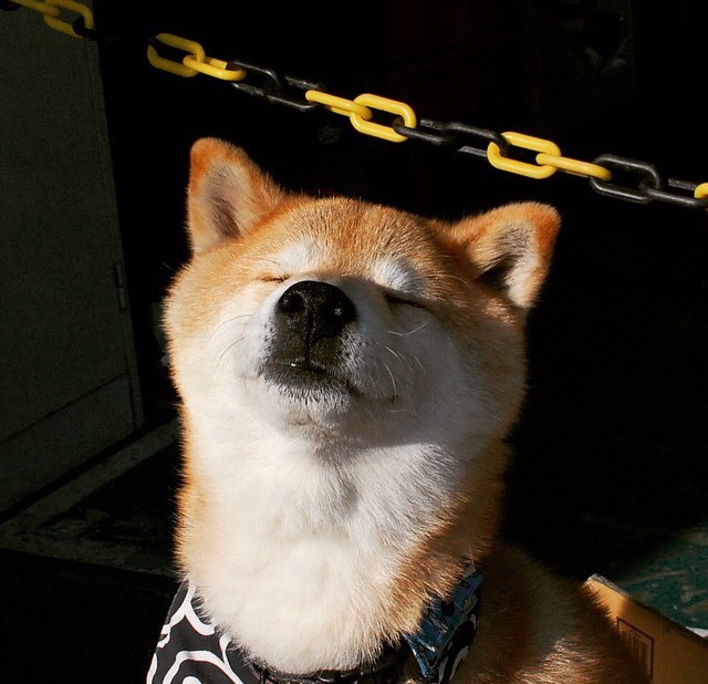 九游（jiuyou.com）游戏-青岛黄海中场被罚下场，影响球队比赛节奏，青岛黄海足球队赛程