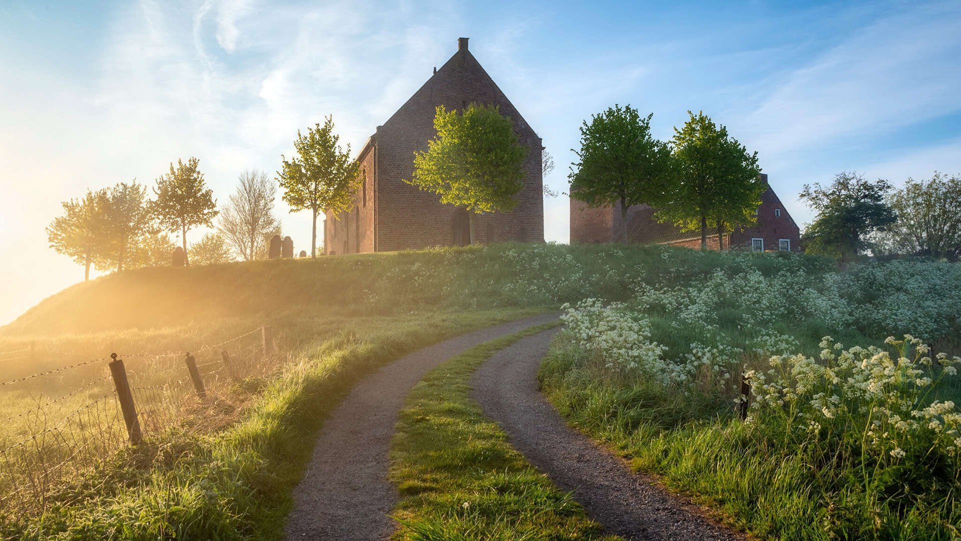 马略卡力挽狂澜,主场取胜稳住局势,马略卡今天比赛