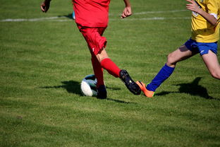 JIU YOU GAME-NBA球员训练计划优化设计，nba运动员训练计划