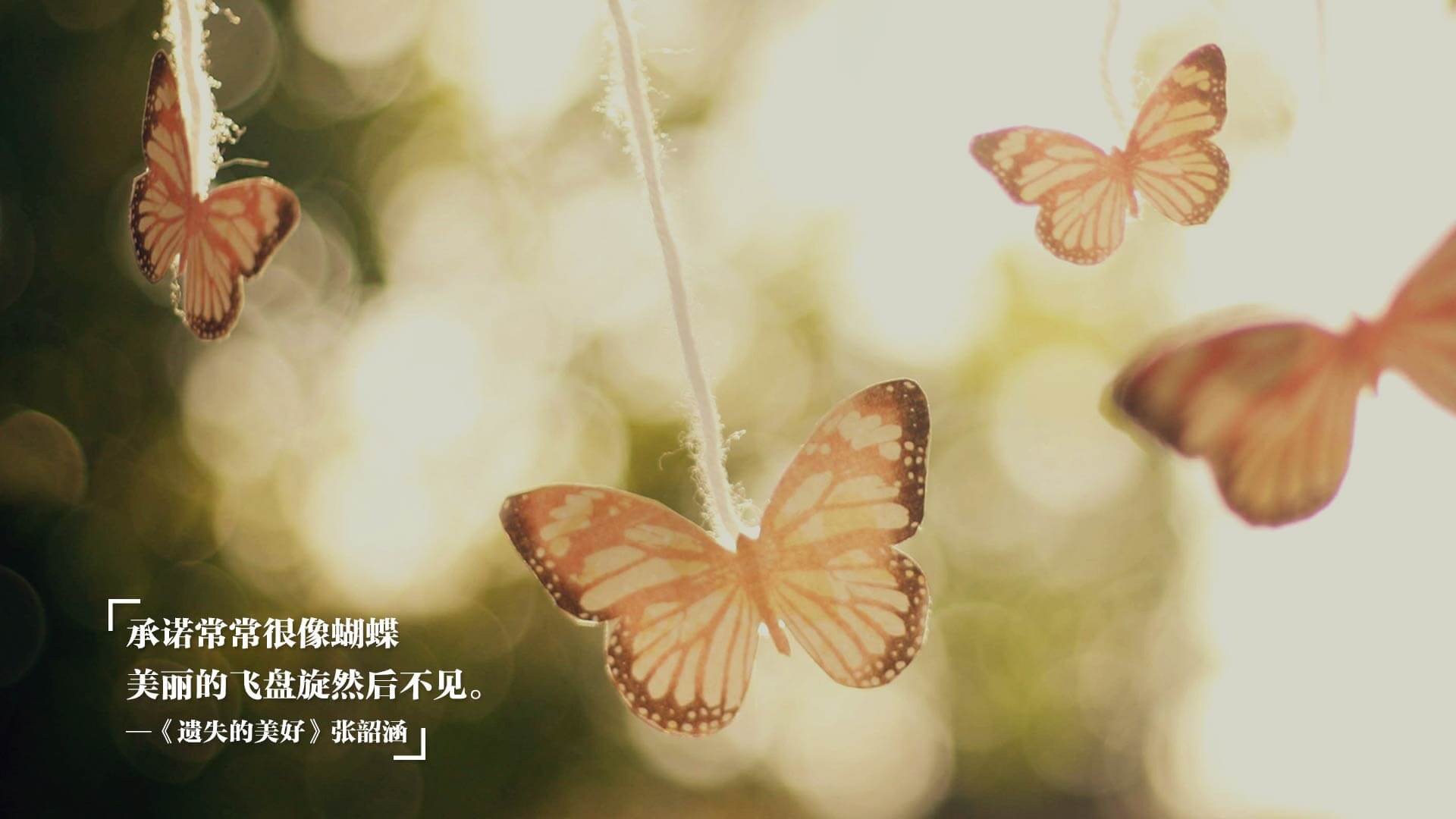 九游娱乐官网 (jiuyou)-“快艇冲浪：马鞍山赛场上演极速水上飞跃”