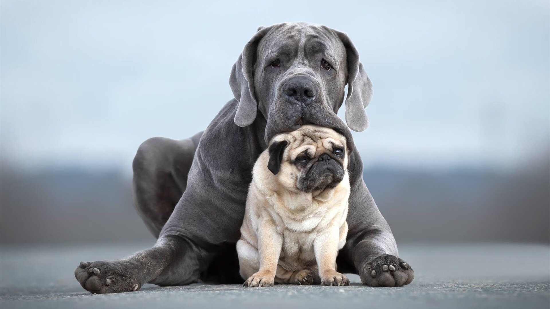中国三人篮球女队积极磨合新阵容,中国三人篮球女队积极磨合新阵容是谁