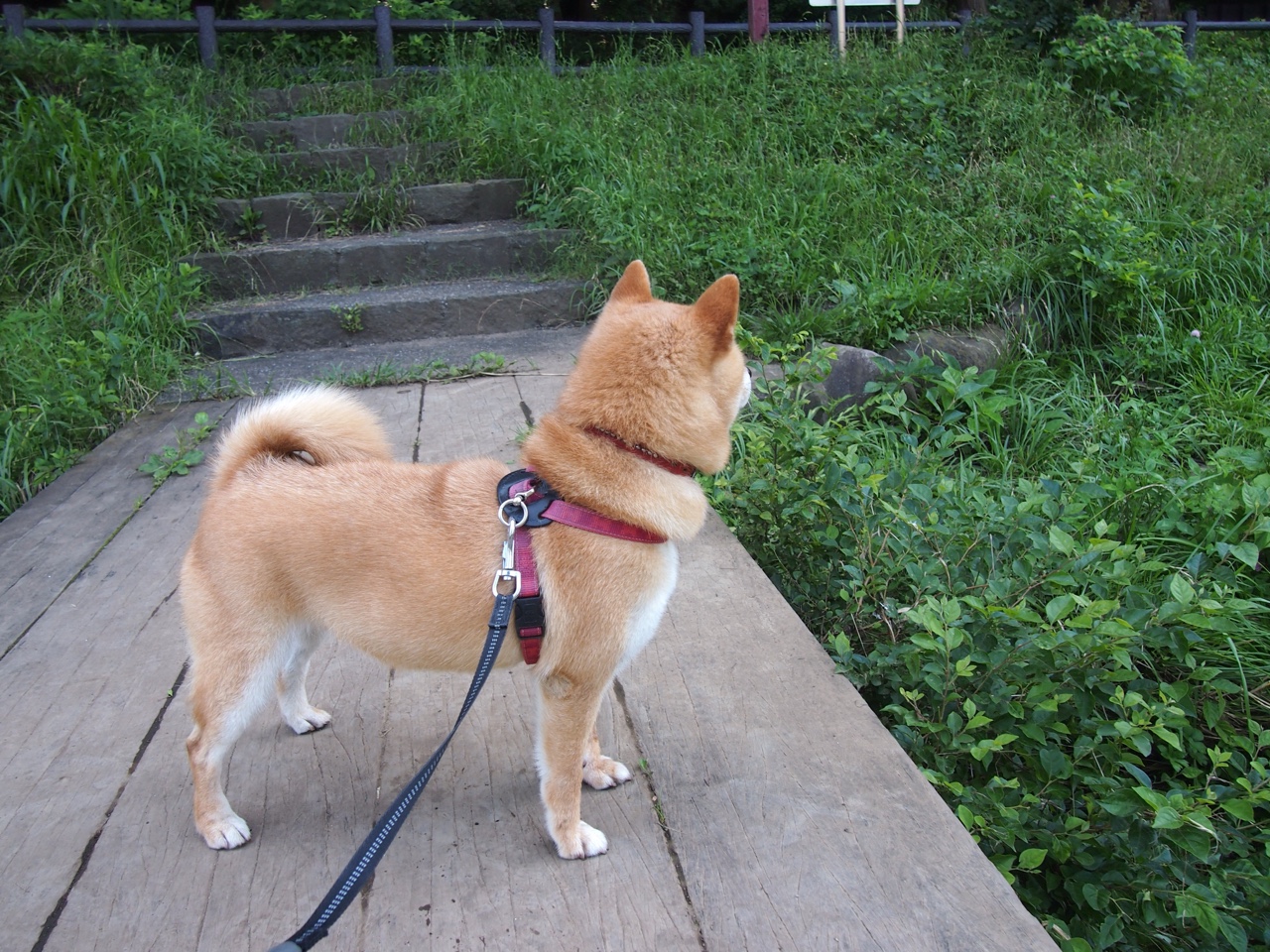 中国足球人才流失是否无法避免,中国足球人才储备