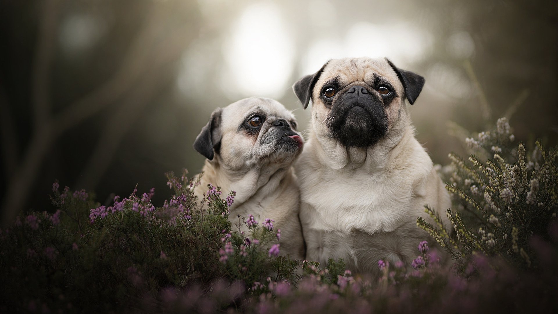 Jiuyou-决赛首球迅速打击PSG士气