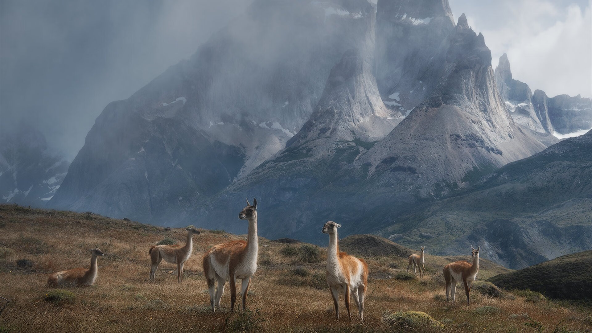 季中体测与训练负荷控制是否决定下半程表现,体育训练课运动负荷分析报告