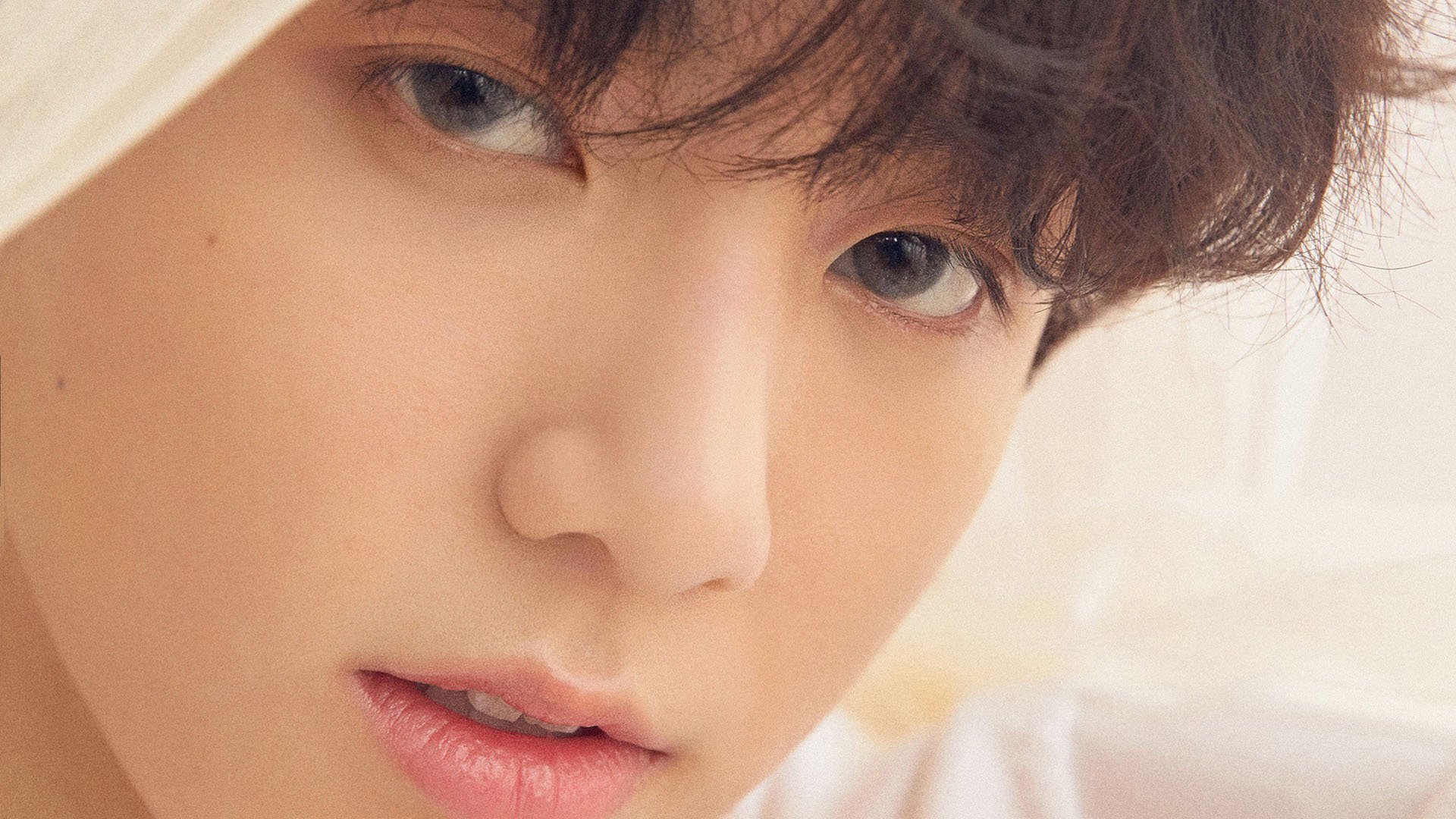 澳大利亚队如何通过团队赛制提高整体竞争力,澳大利亚球队分析