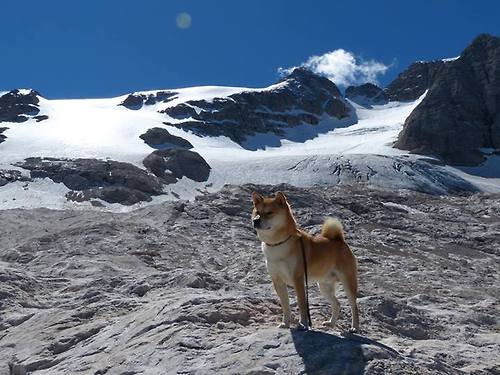 九游-训练节奏加快体能与技战术同步推进，体能技术战术的关系