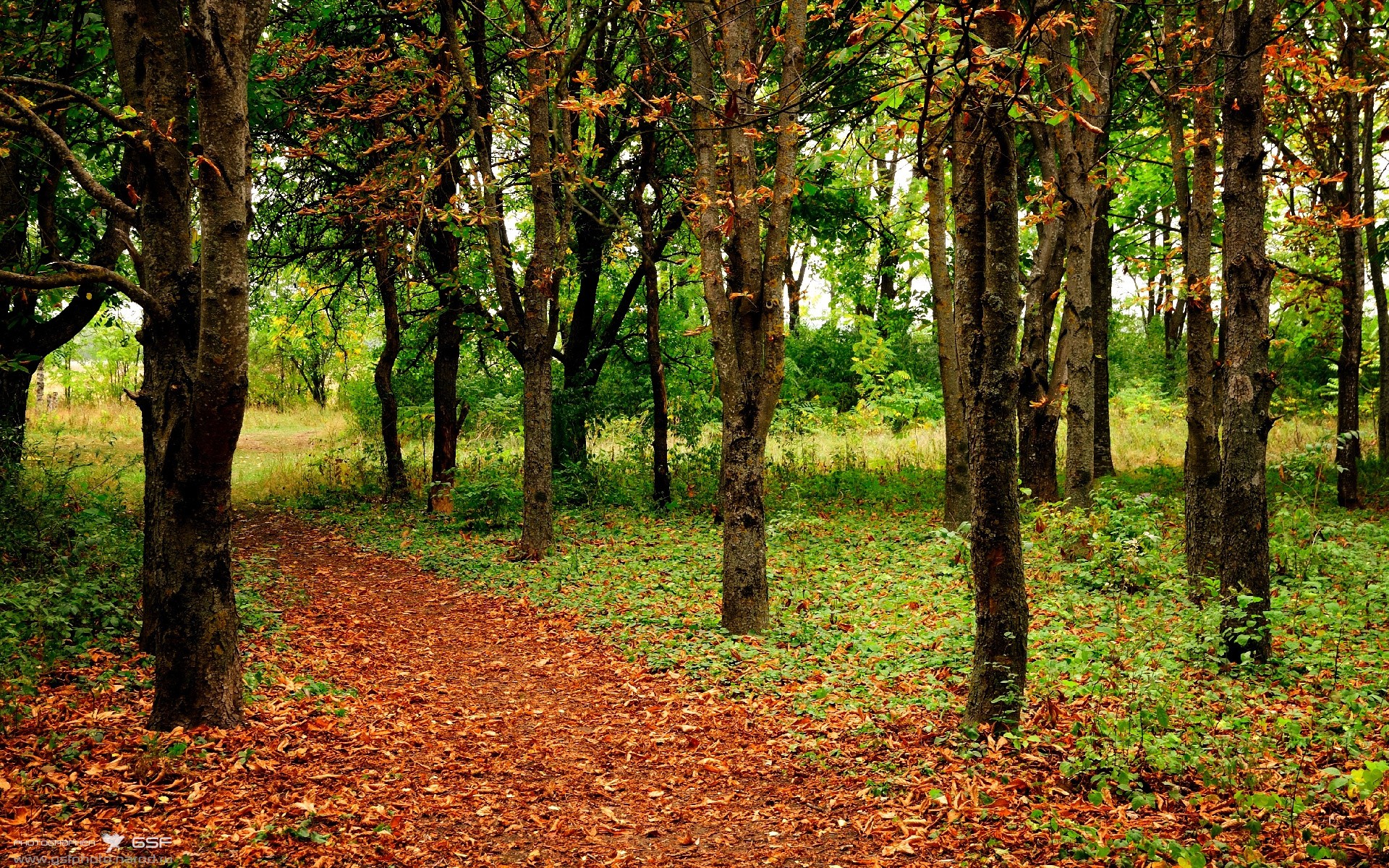 雷恩加强边路防守遏制突破能力,雷恩加尔最新出装