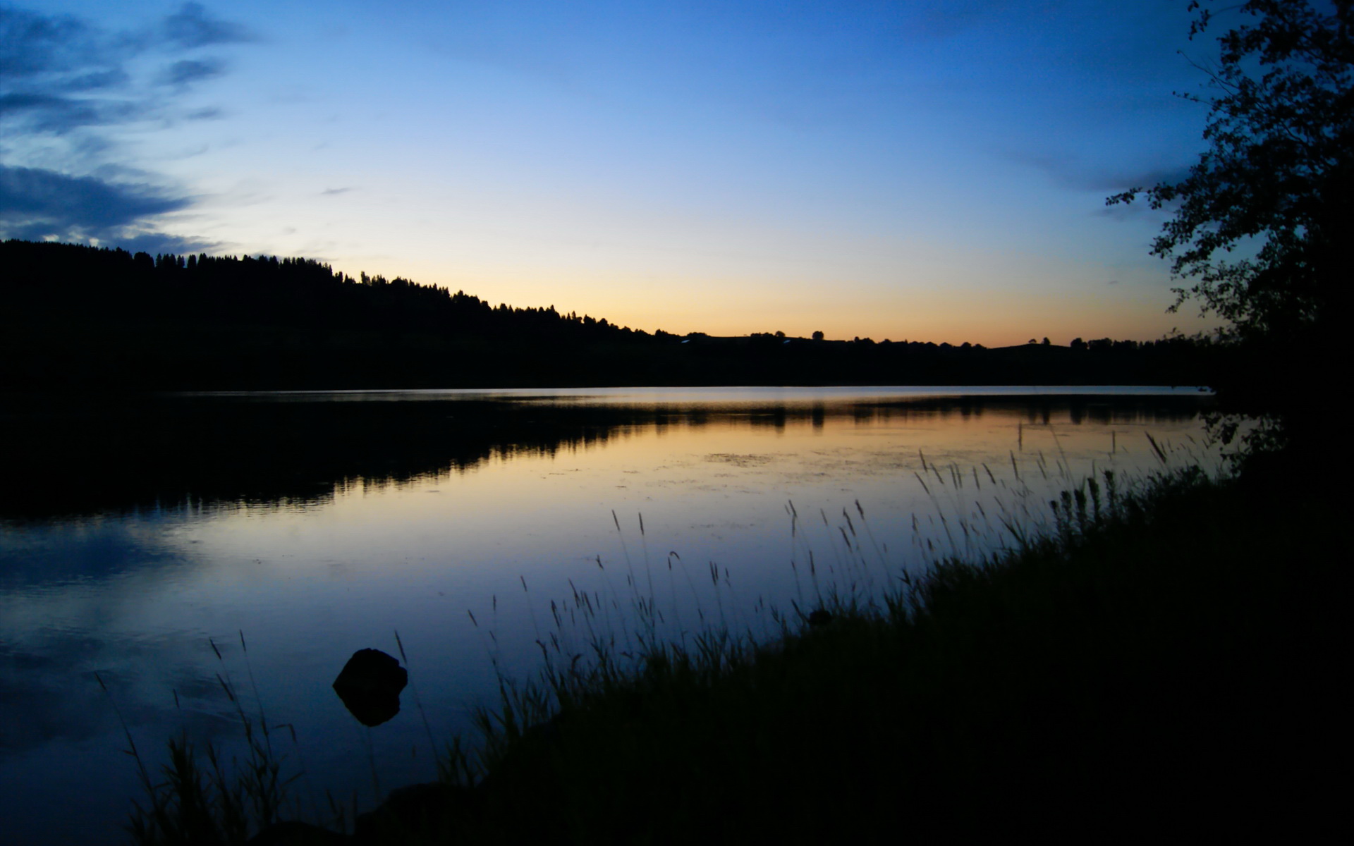 配速策略在不同项目的应用,配速概念